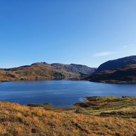 Newton Lodge Lairg Kültér fotó